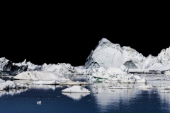 Fishing for Turbo (Ilulisat Icefjord 2013)