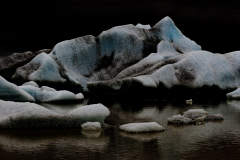 End of Parade (Fjallsárlón Lagoon 2024)