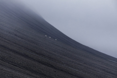 Polar Bears Seeking Altitude, 2016 (Barentsøya Island from Freemansundet, Svalbard)