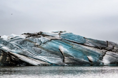 The Tourmaline (Brepollen Bay, Svalbard 2016)