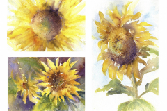 Sunflowers, Three Views