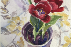 Tulips Thinking of Mattise