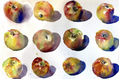 Silver Apples of the Moon