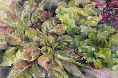 Yugoslavian Red, Nevada and Rouxai