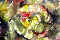 When Lettuce Dreams.jpg