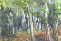 At the Edge of the Woods