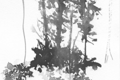 Island in Black and White