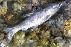 Salmon, Journey's End