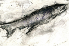 Salmon, Journey's End